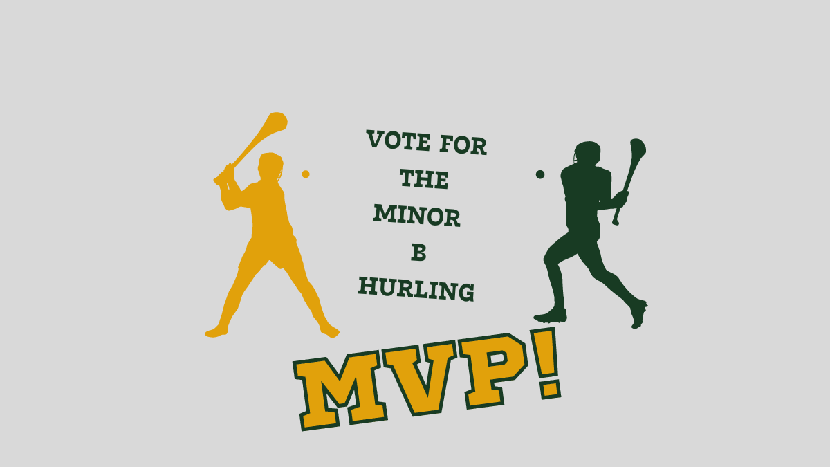 vote-for-your-minor-b-hurler-of-the-year-the-premier-view