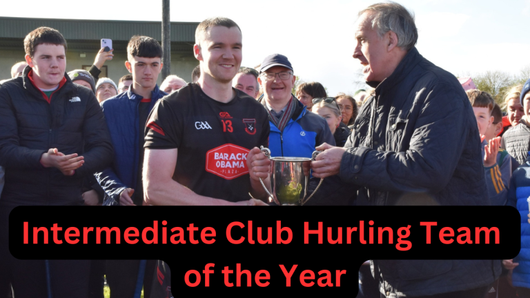 The PremierView Podcast Intermediate Hurling Team of the Year.