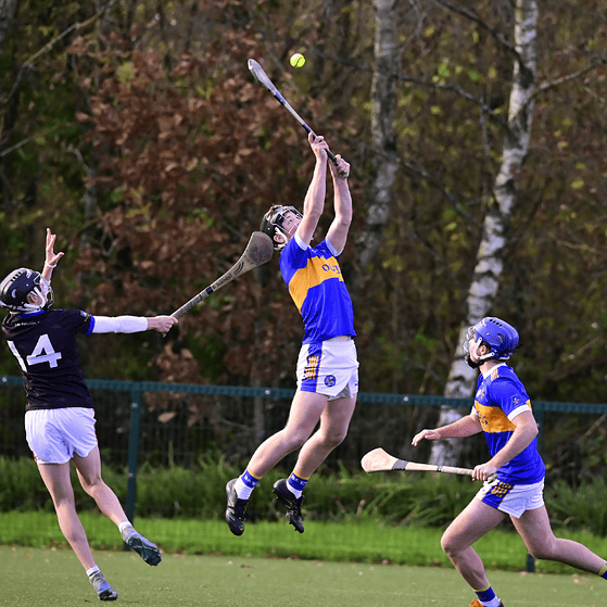 The Premier View Podcast